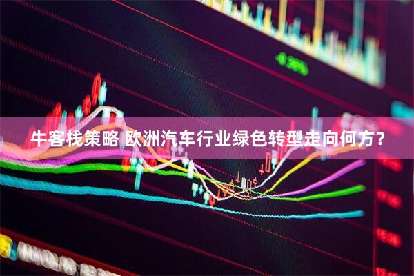 牛客栈策略 欧洲汽车行业绿色转型走向何方？