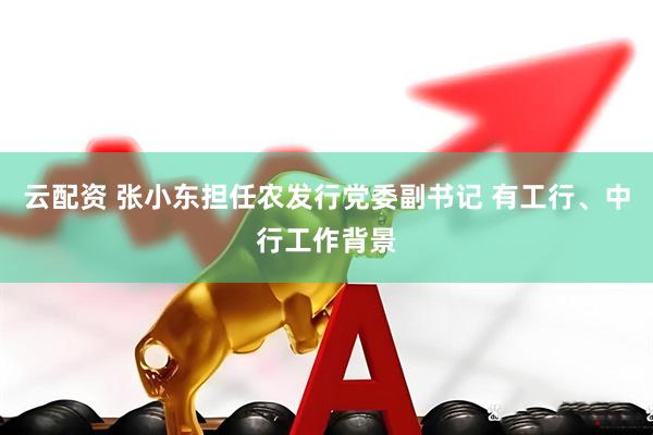 云配资 张小东担任农发行党委副书记 有工行、中行工作背景