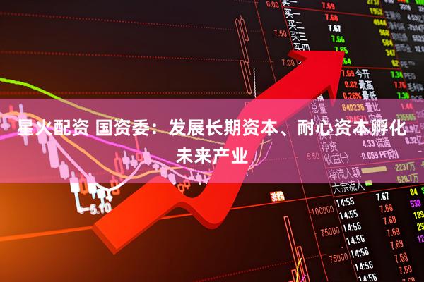 星火配资 国资委：发展长期资本、耐心资本孵化未来产业
