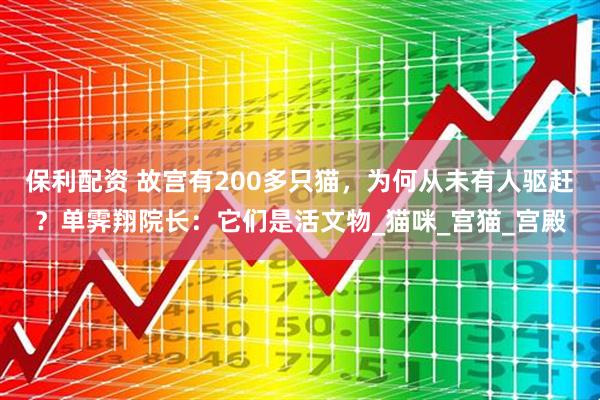 保利配资 故宫有200多只猫，为何从未有人驱赶？单霁翔院长：它们是活文物_猫咪_宫猫_宫殿