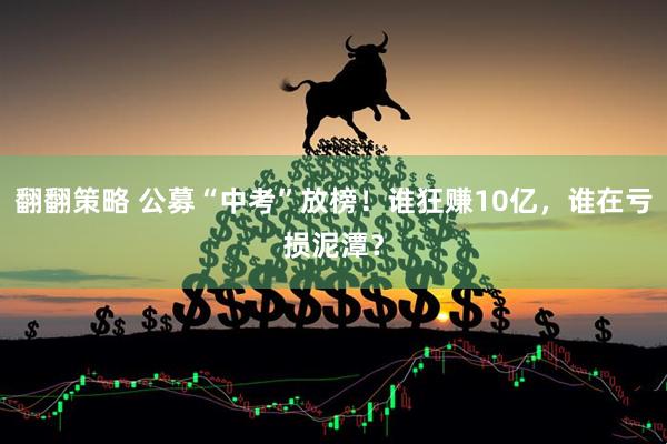 翻翻策略 公募“中考”放榜！谁狂赚10亿，谁在亏损泥潭？